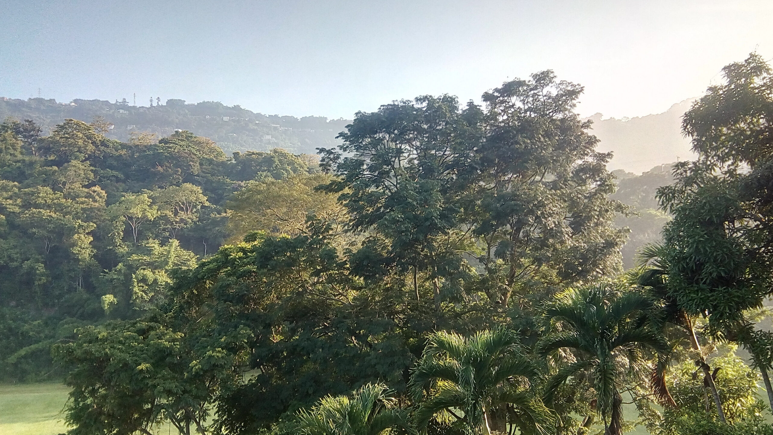 Los Anaucos El origen de la mayoria de mis canciones. Los Anaucos, mi lugar mágico.